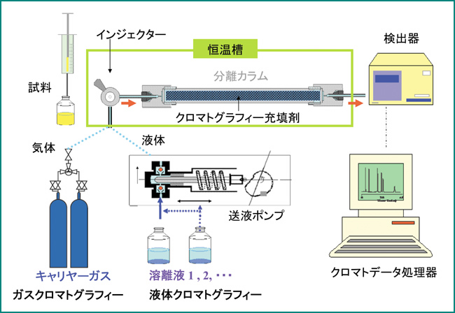 生体活性骨ペースト