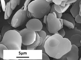 ���[�^�[�}