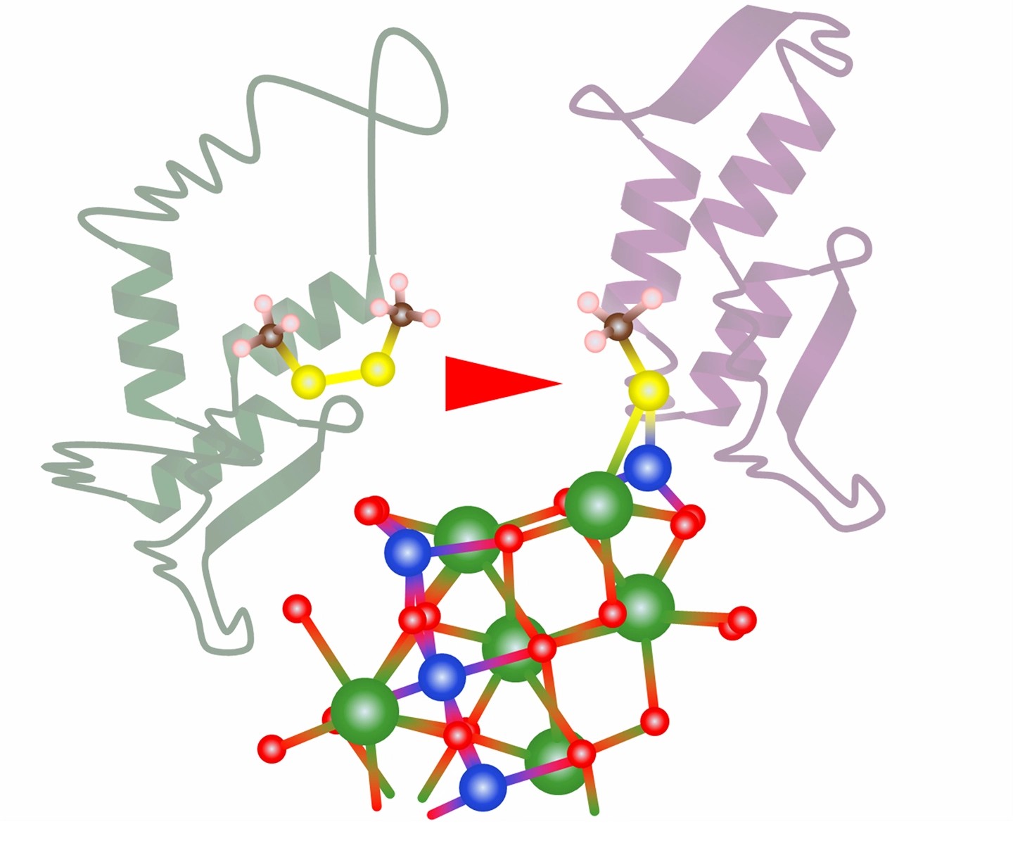(プレスリリース)銅系複合酸化物の開発と抗ウイルス活性機構の解明 (2025/12/8)