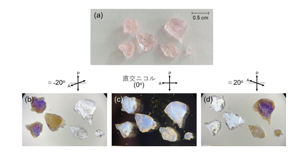 (プレスリリース)水からつくれて、見て左右がわかる ― 円偏光発光を示すバルク無機キラル結晶 ―(2026/1/22)