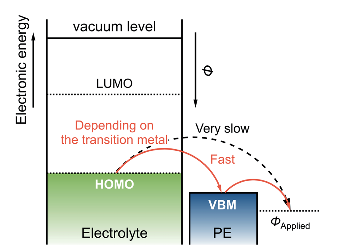 (セラ誌オープンアクセス記事)正極活物質の触媒活 性制御による マグネシウム蓄電池 用電解液の分解抑制(2026/2/3)